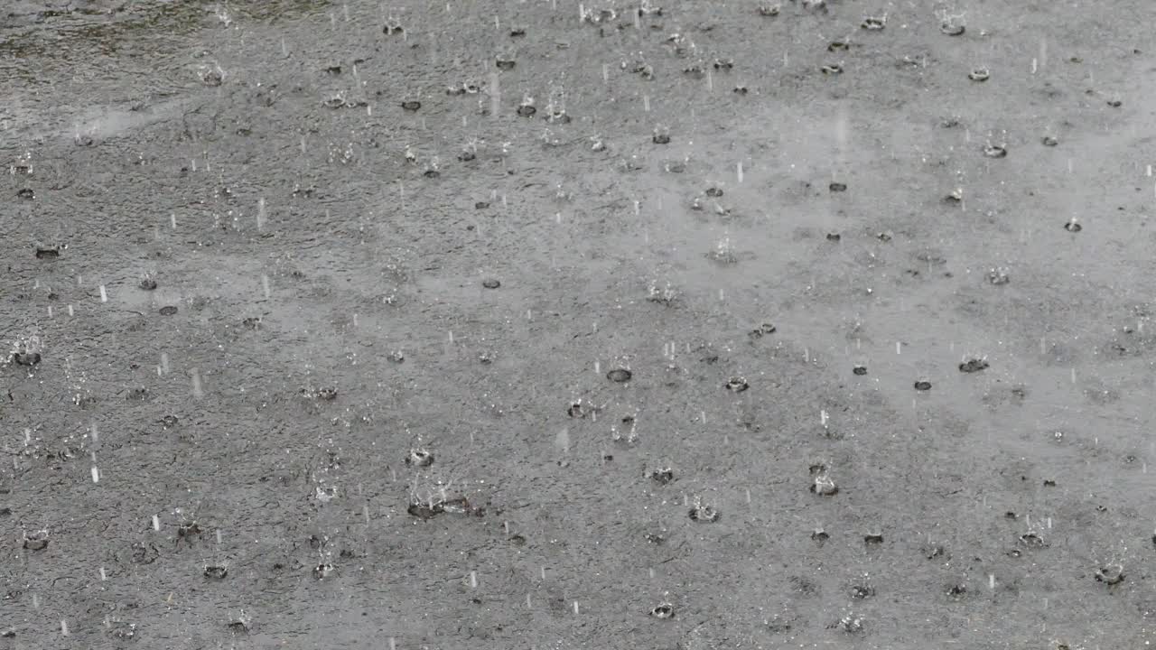 大雨溅在沥青上视频素材