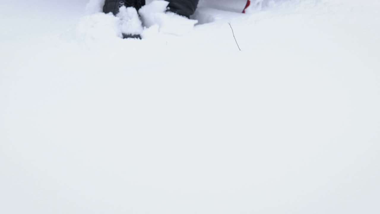 雪橇在冬天的森林里。视频素材