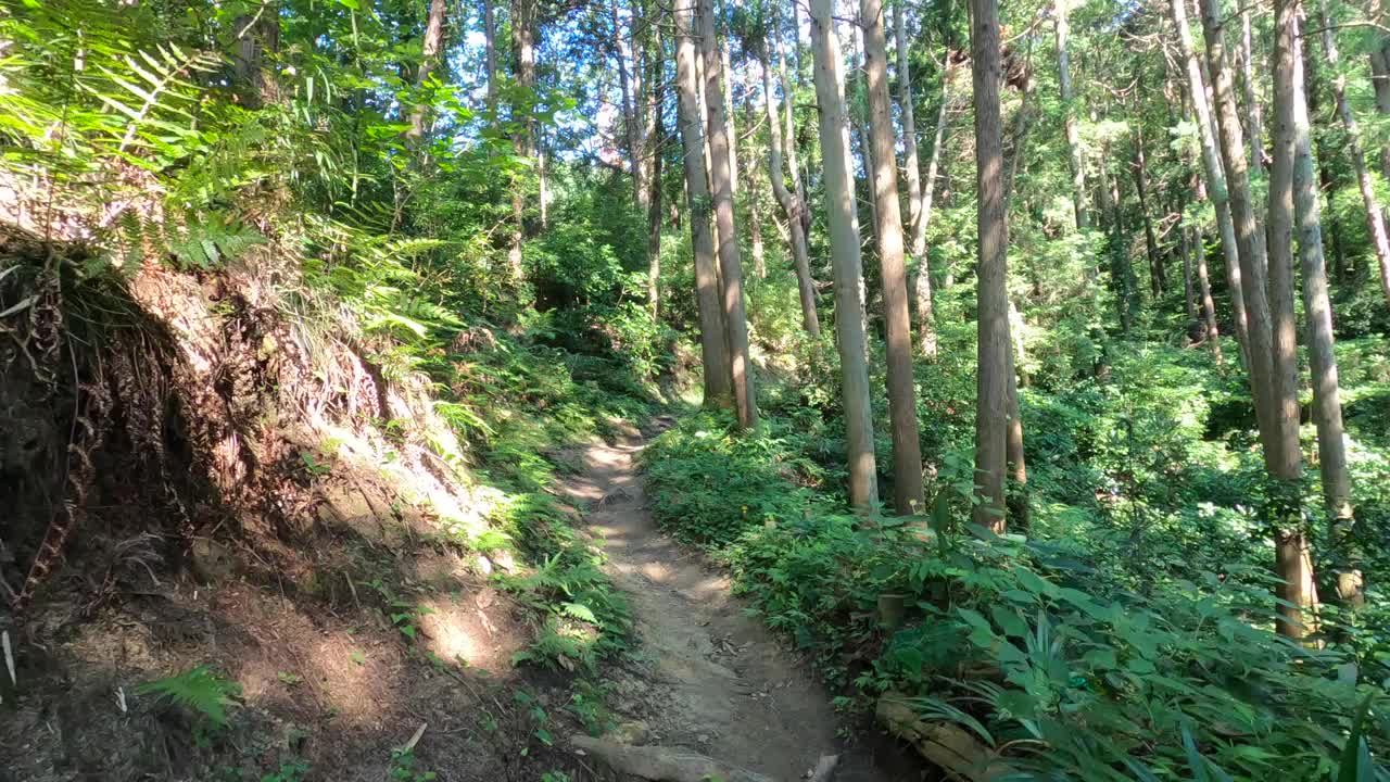 日本的自然风光视频素材