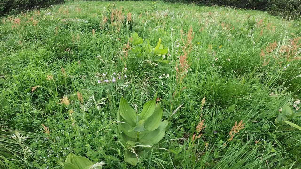 登山视频素材