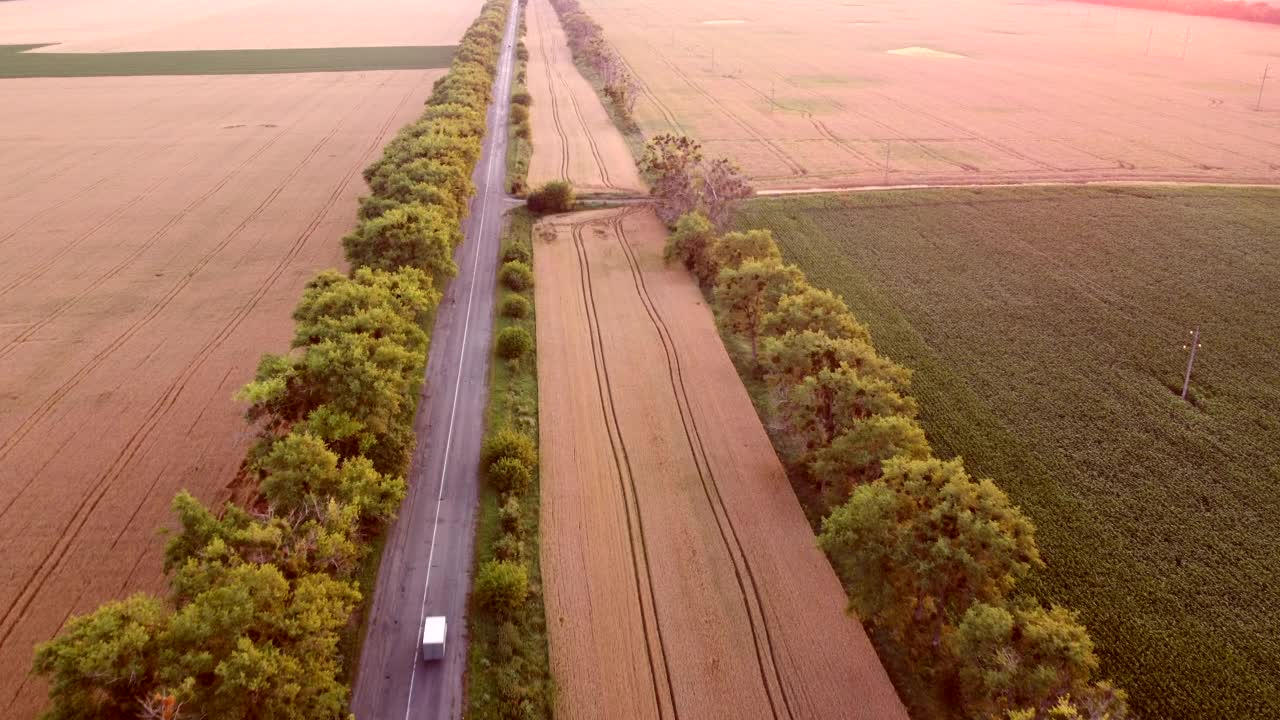 黎明日落时，无人机飞过麦田之间的道路。视频素材