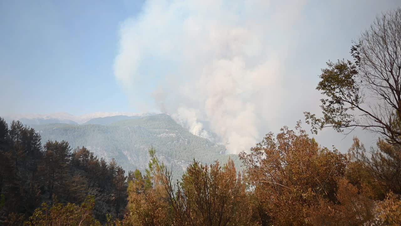 烧毁森林，村庄和农村地区到土耳其视频素材