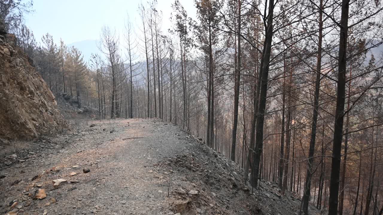 烧毁森林，村庄和农村地区到土耳其视频素材