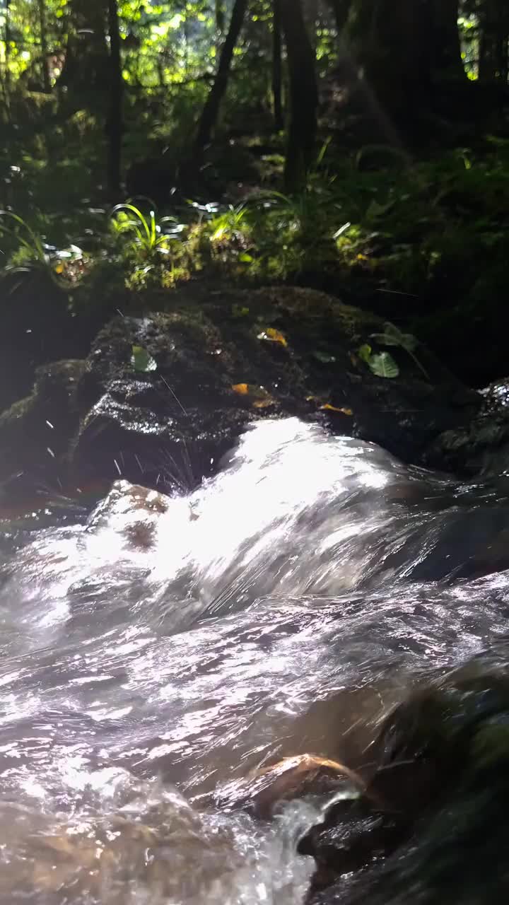 清澈的山涧视频素材