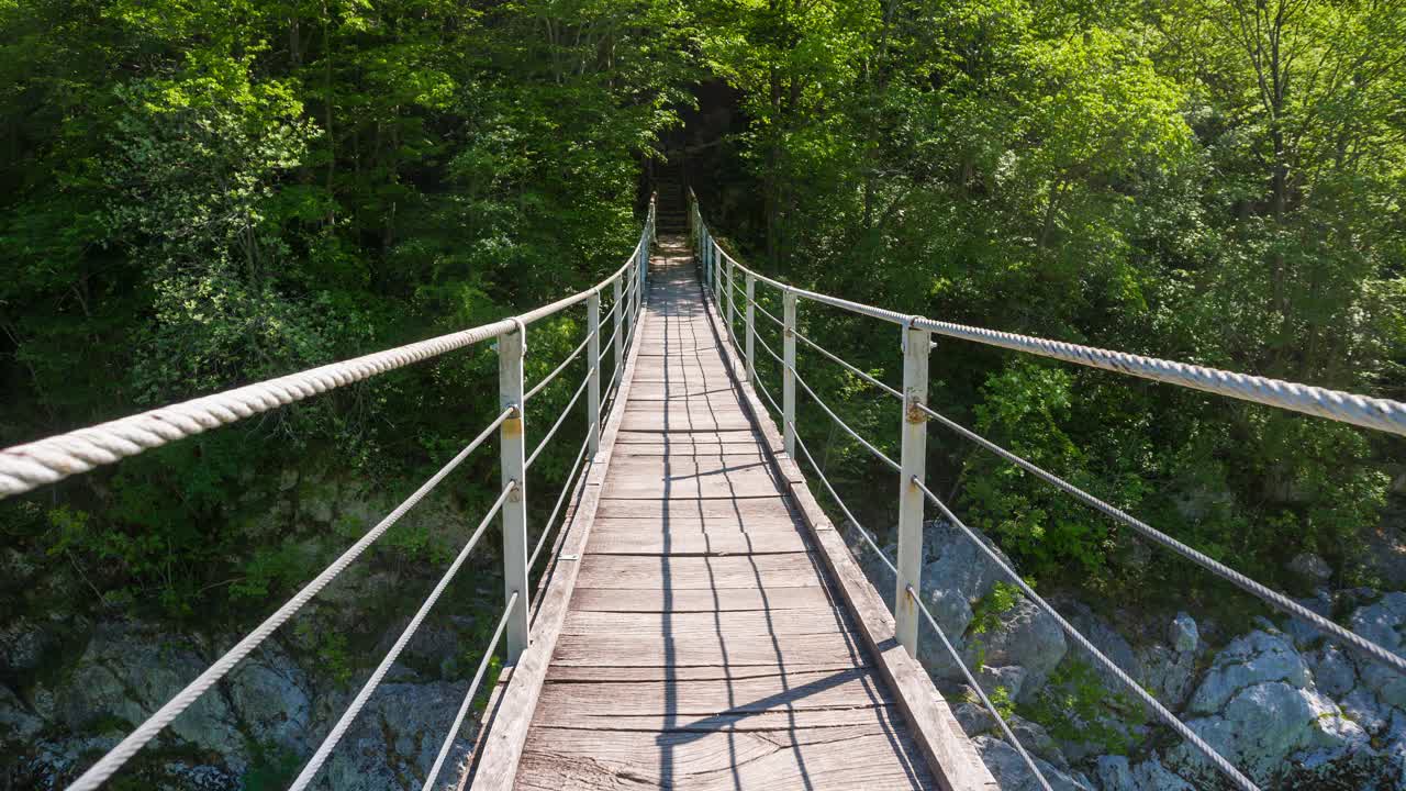走在枝繁叶茂的吊桥上视频素材