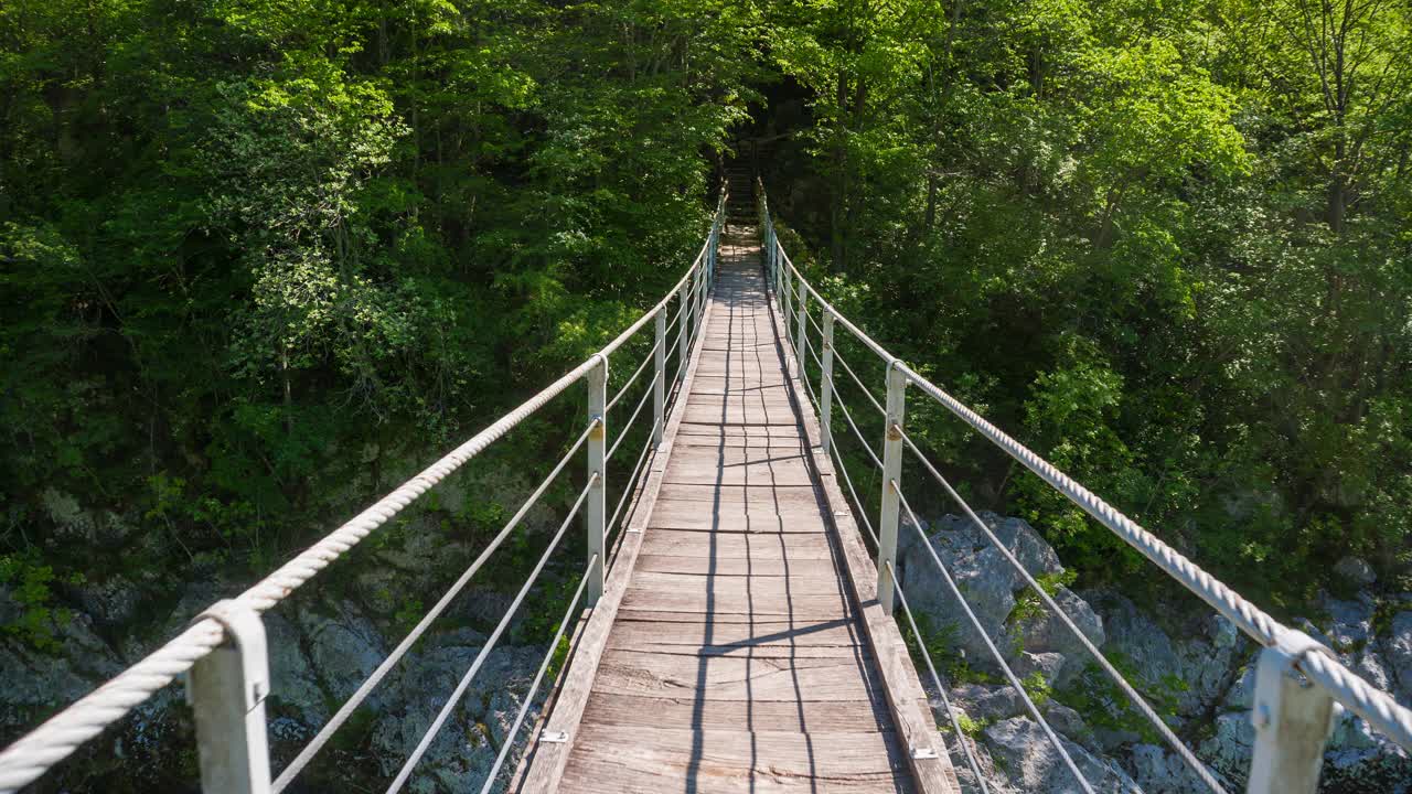 行走在绿树成荫的木桥上视频素材