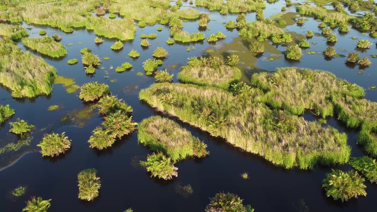 泥炭地和沼泽是湿地视频素材