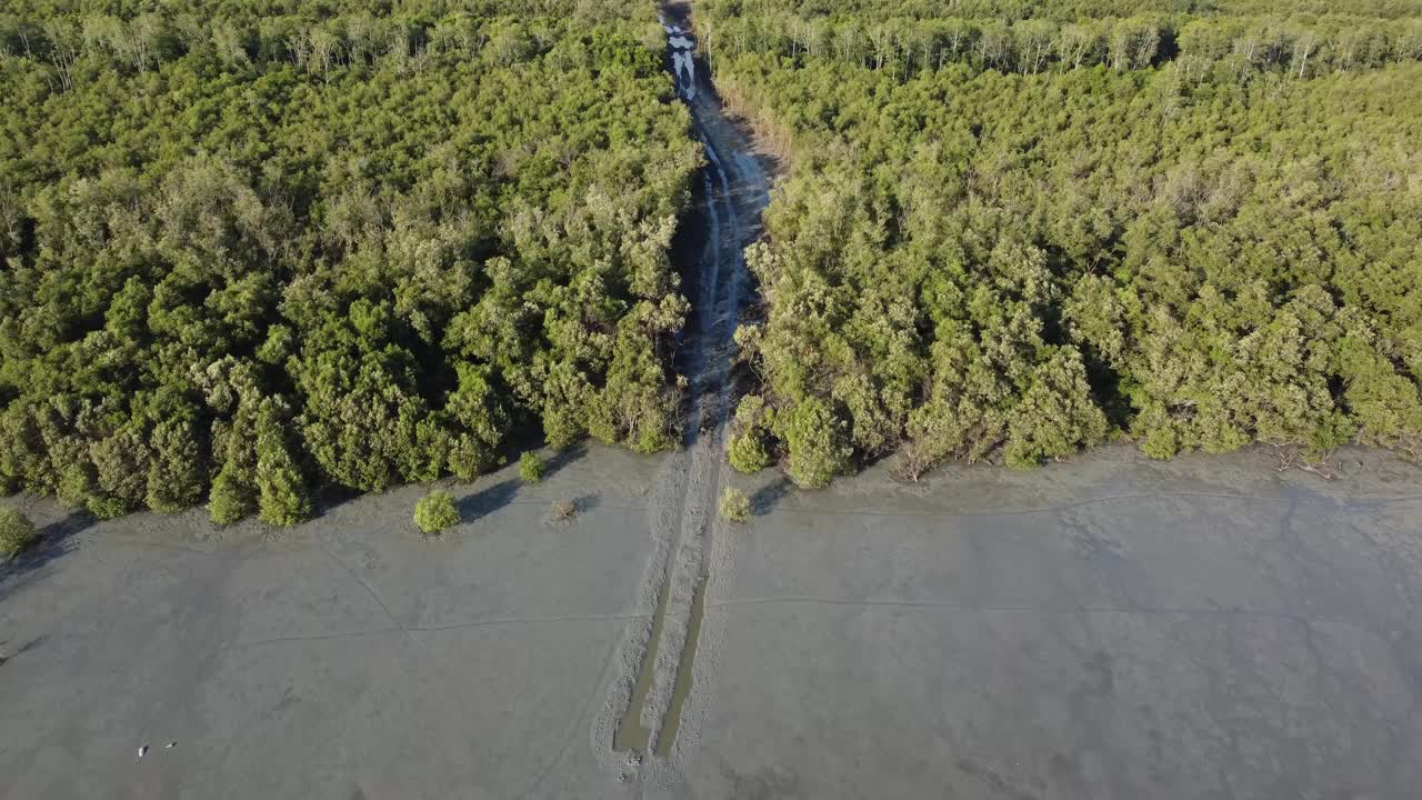 空中红树林沼泽毁林活动视频素材