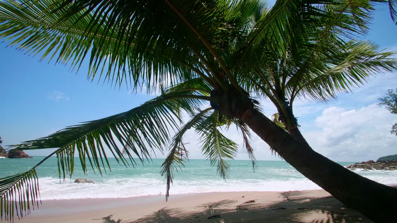 椰子树和热带海洋夏季度假和热带海滩的概念椰子树生长在白色的沙滩上，在泰国普吉岛自由海滩前的孤独椰子树。垂直图视频素材