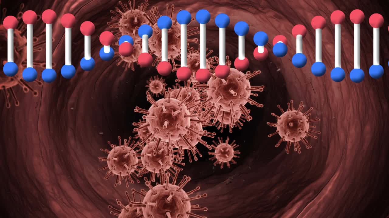 在红色背景下，dna结构在多个covid-19细胞上旋转的数字动画视频素材