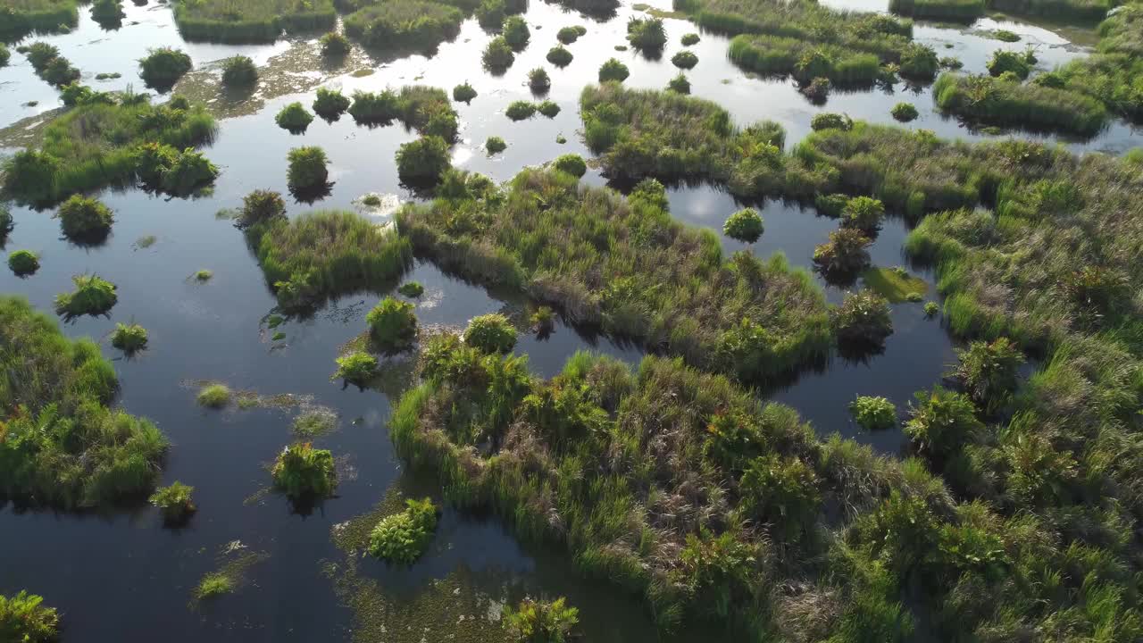 鸟瞰阳光下的湿地视频素材