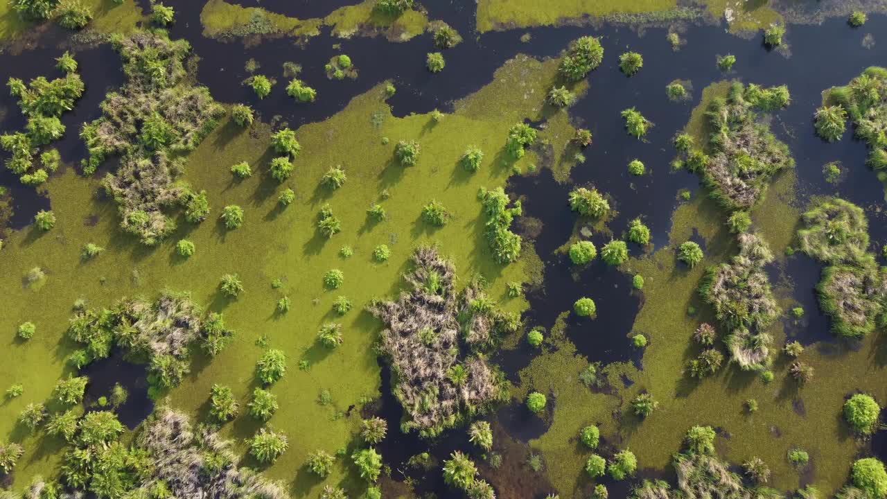 鸟瞰泥炭地视频素材