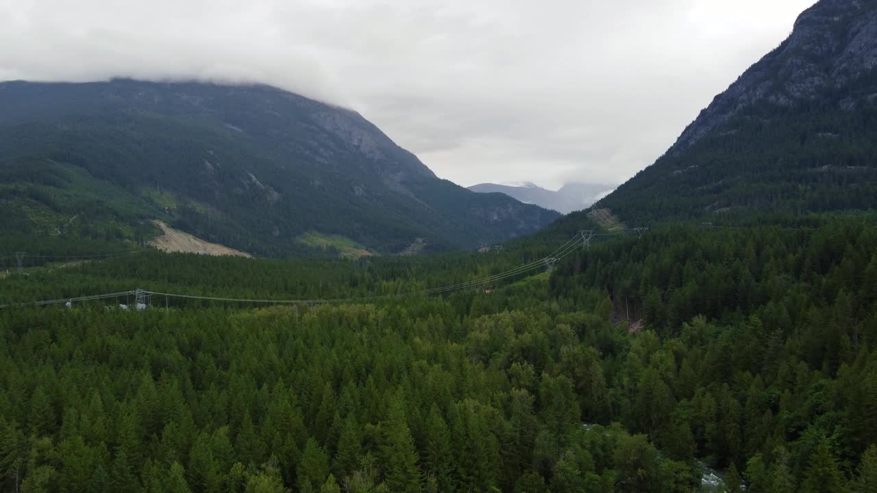 在加拿大松树林的绿色山脉和电线的天线视频素材