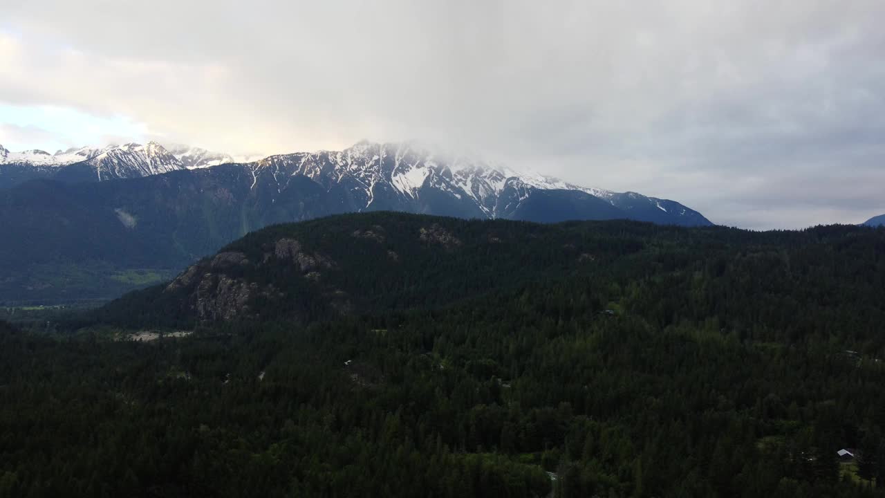 鸟瞰图的绿色森林小巷与雪山更远视频素材