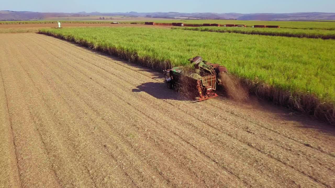 甘蔗机械收获新土壤处理期种植视频素材