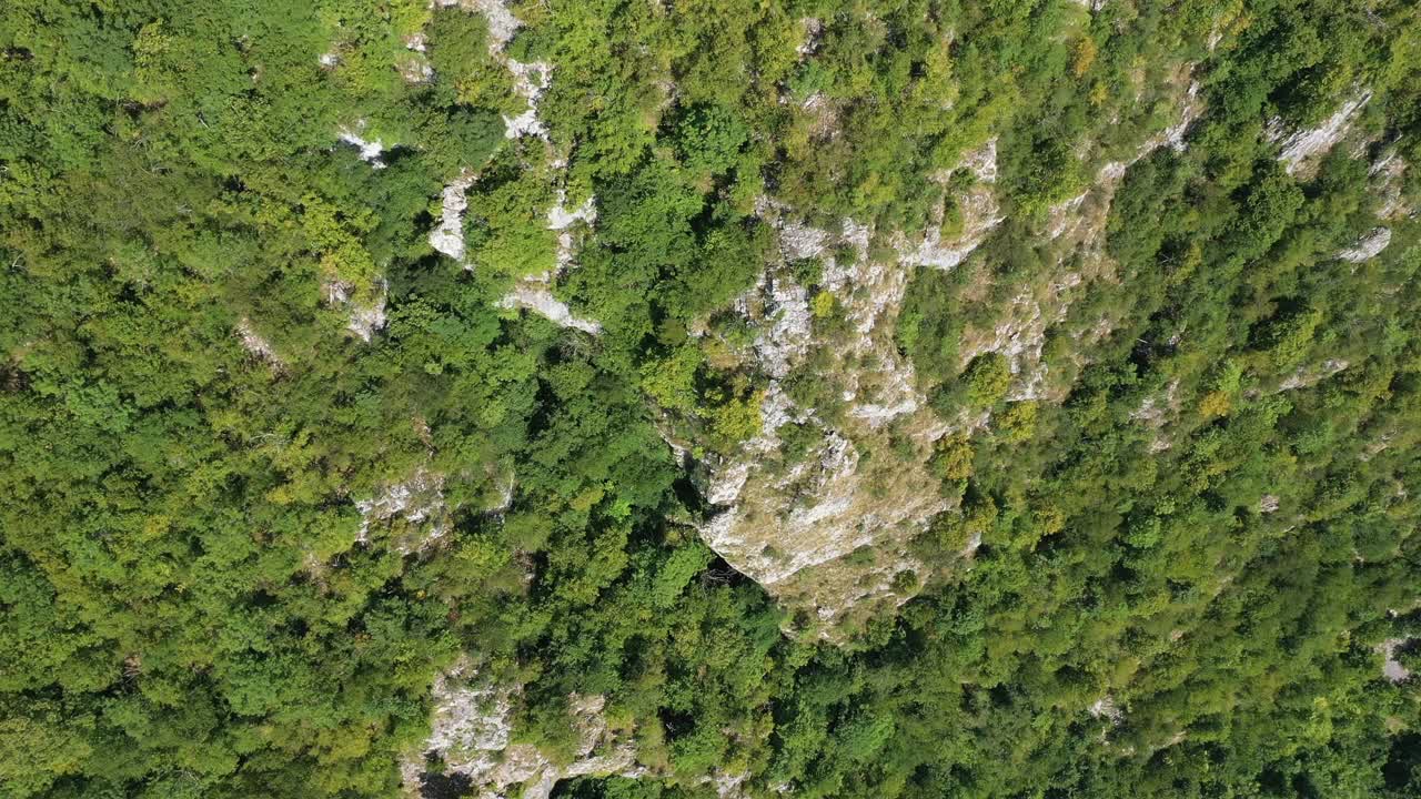 在石灰岩悬崖和落叶林上空飞行。无人机在空中拍摄。Apuseni山脉、罗马尼亚视频素材