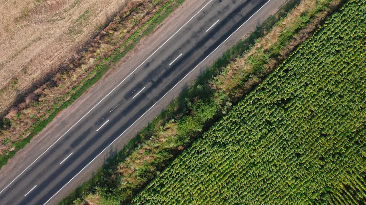 鸟瞰图汽车和卡车沿着乡村道路沿着田野在一个夏天的早晨。视频素材