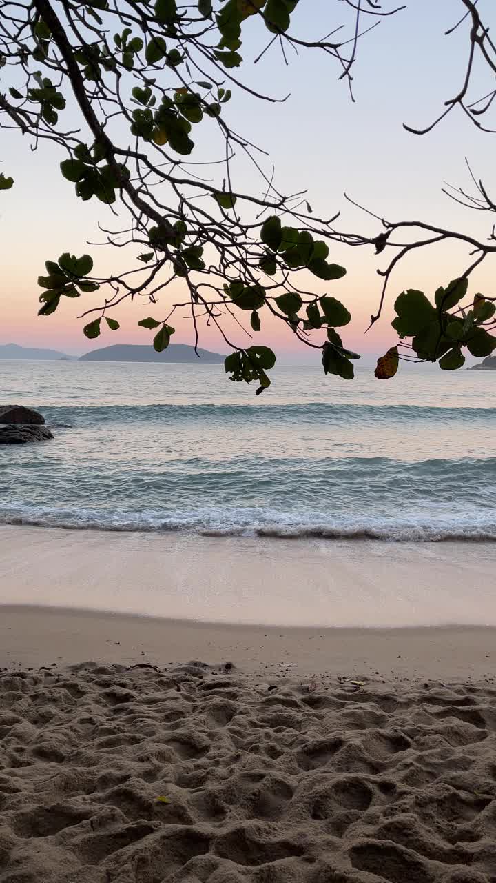 阳光明媚的一天，海滩上美丽的海浪景色。垂直视频。视频素材