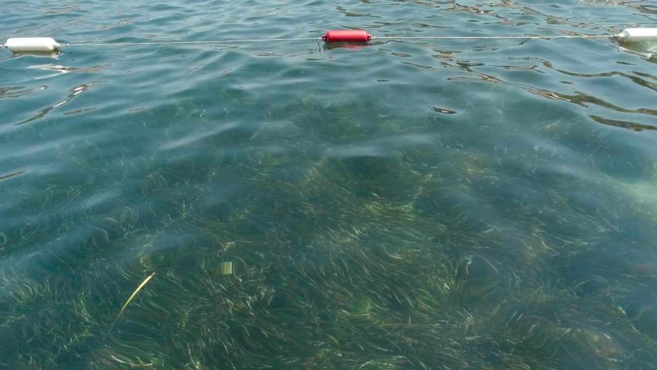 海洋浮标视频素材