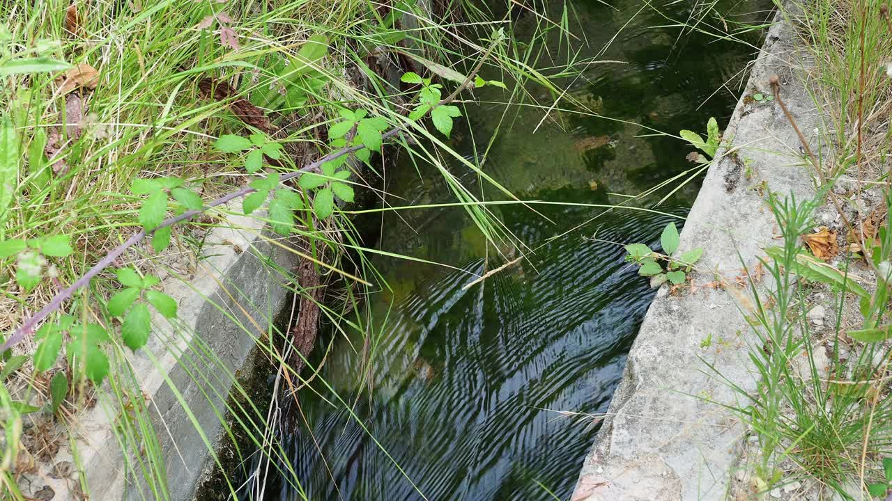 农田灌溉渠内循环的水。视频素材