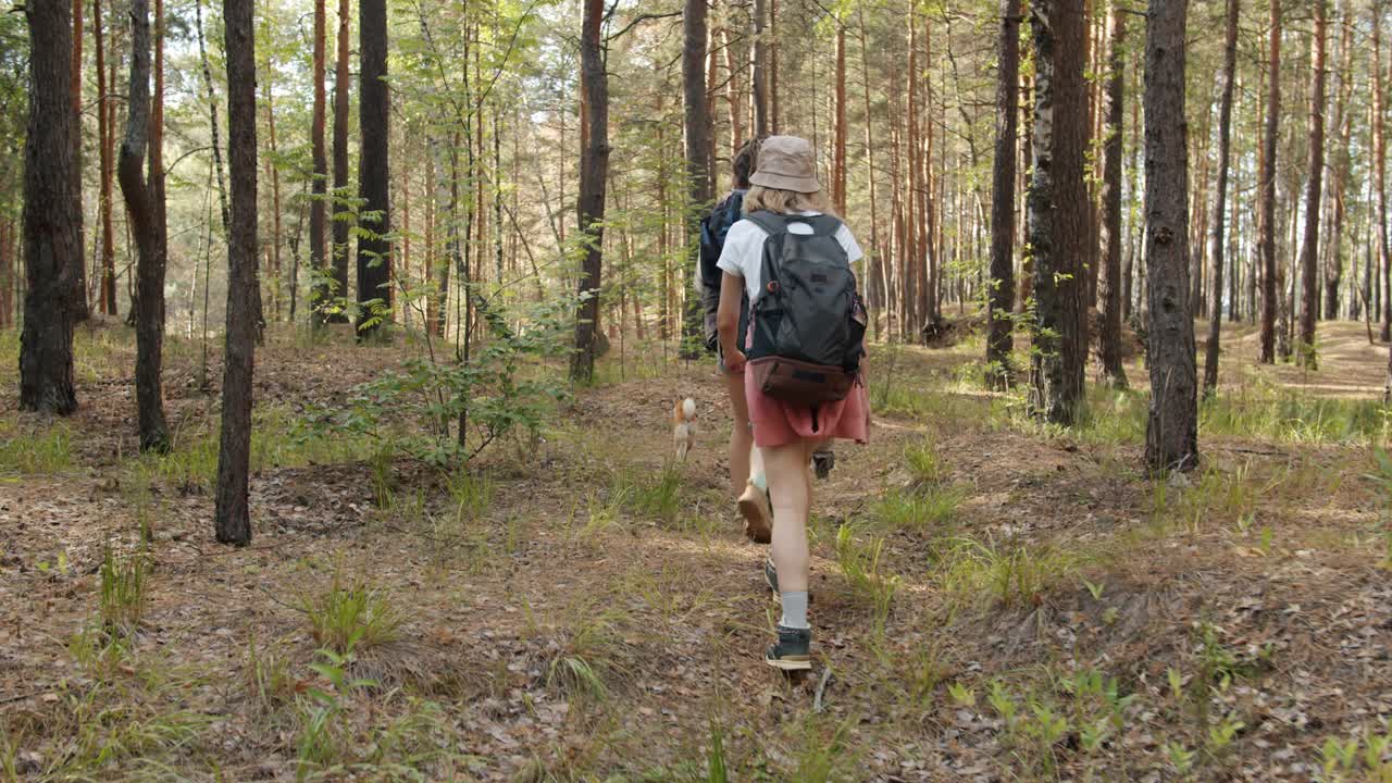 后视图慢动作的女孩和男孩走在森林在夏天背包徒步旅行视频素材