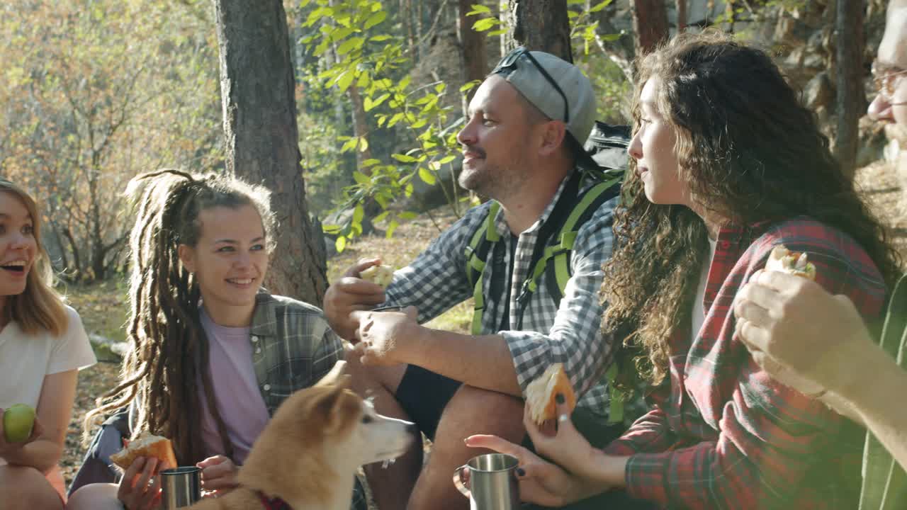 在秋天的森林里，各式各样的徒步旅行者和柴犬一起吃喝玩乐视频素材