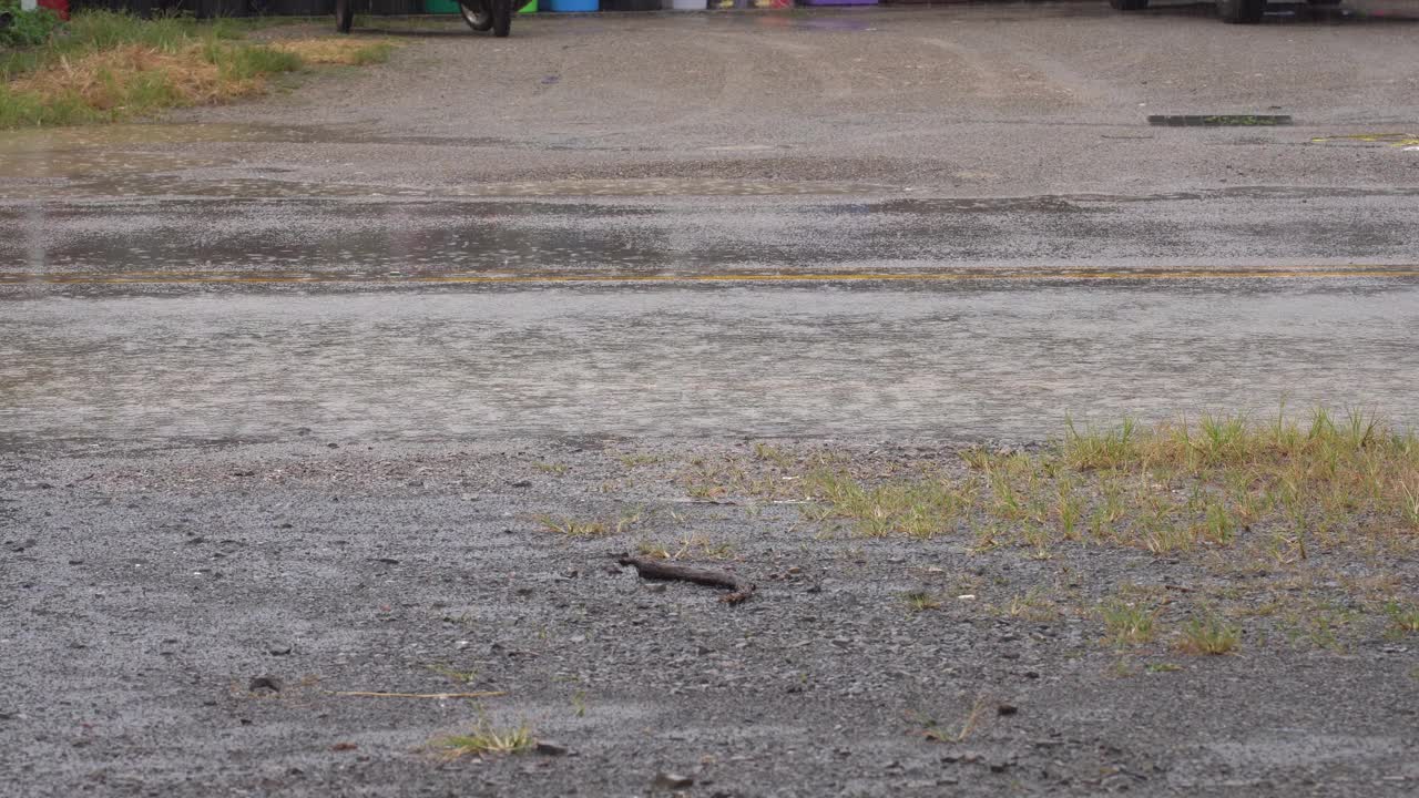 下雨了。视频下载