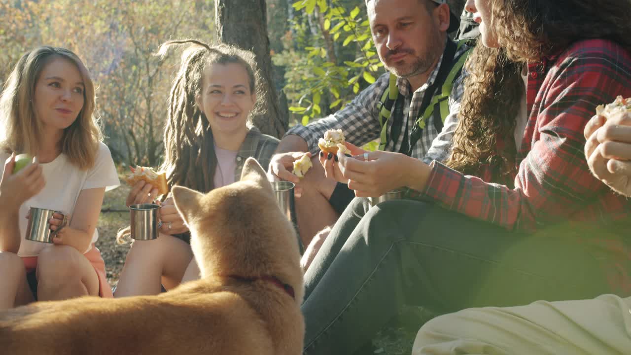 游客女孩和男孩在户外吃饭，聊天，大笑，和可爱的柴犬玩耍视频素材