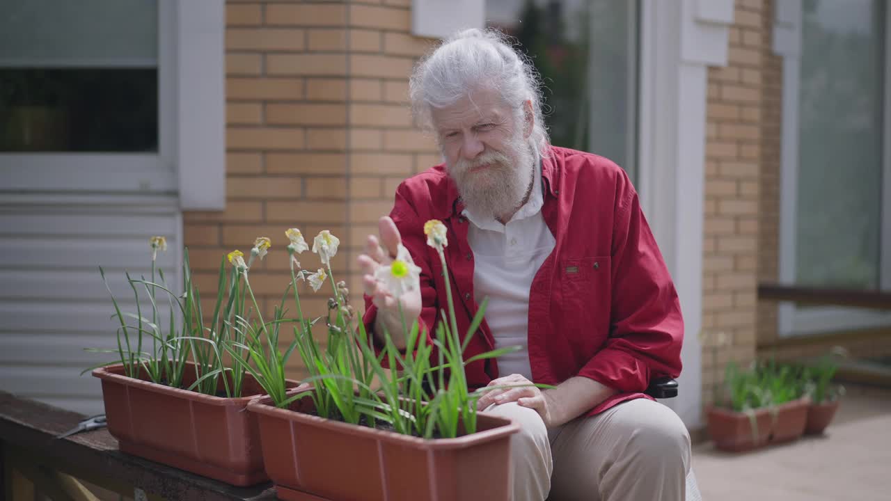 悲伤的残疾白人老年男子触摸枯萎凋谢的花在花盆外。沮丧沮丧的截瘫退休老人的肖像，独自在阳光灿烂的夏日。衰老和残疾的概念。视频素材