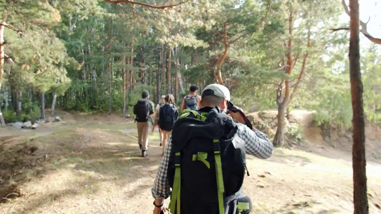 背着背包与朋友在夏天的森林徒步旅行中，拿着杆子享受北欧风情的年轻人的后视图视频素材