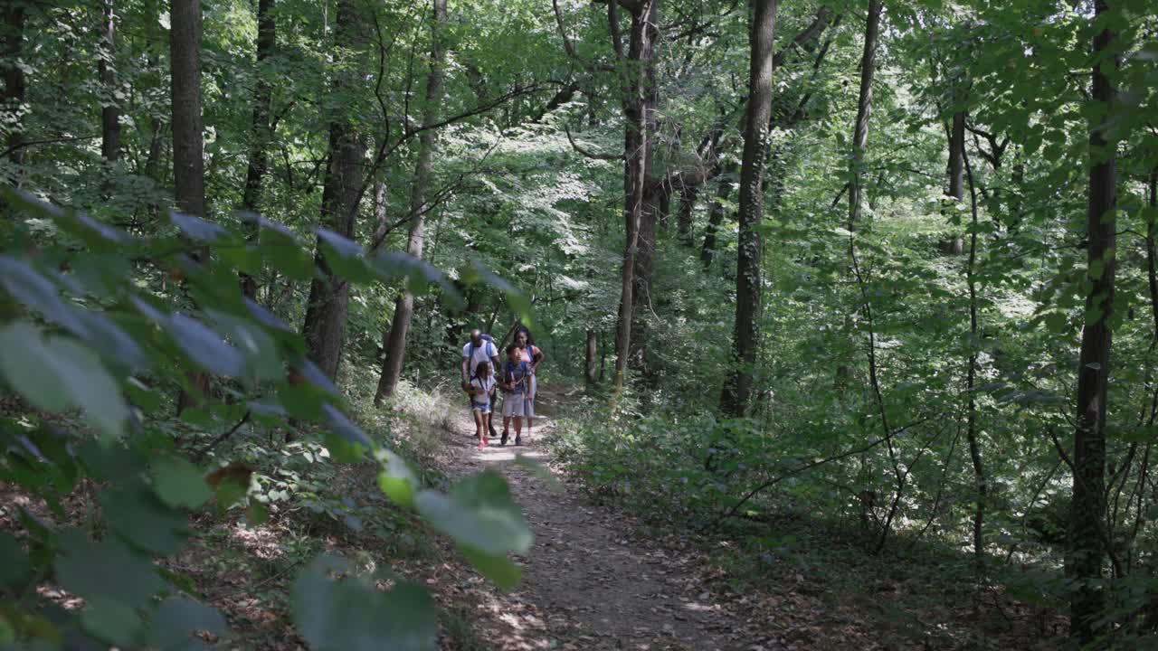 非洲家庭在森林里徒步旅行视频素材