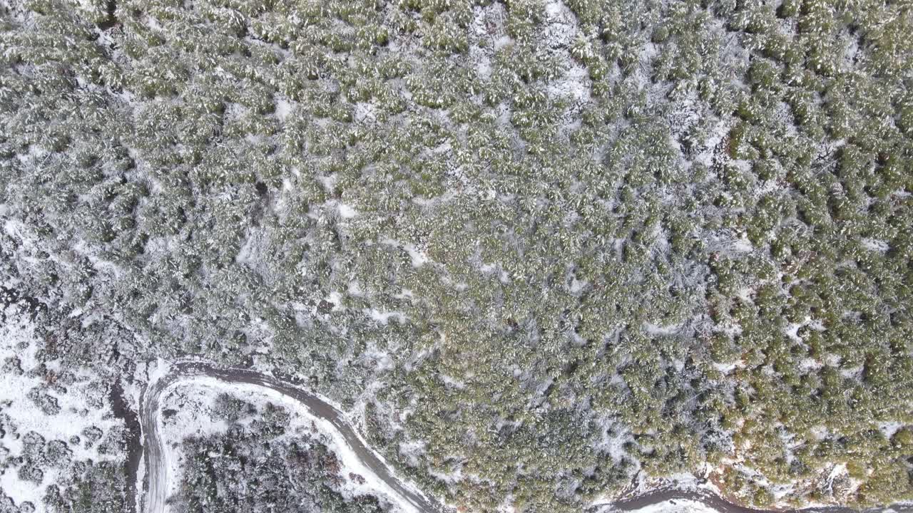 冬季森林高山鸟瞰视频素材