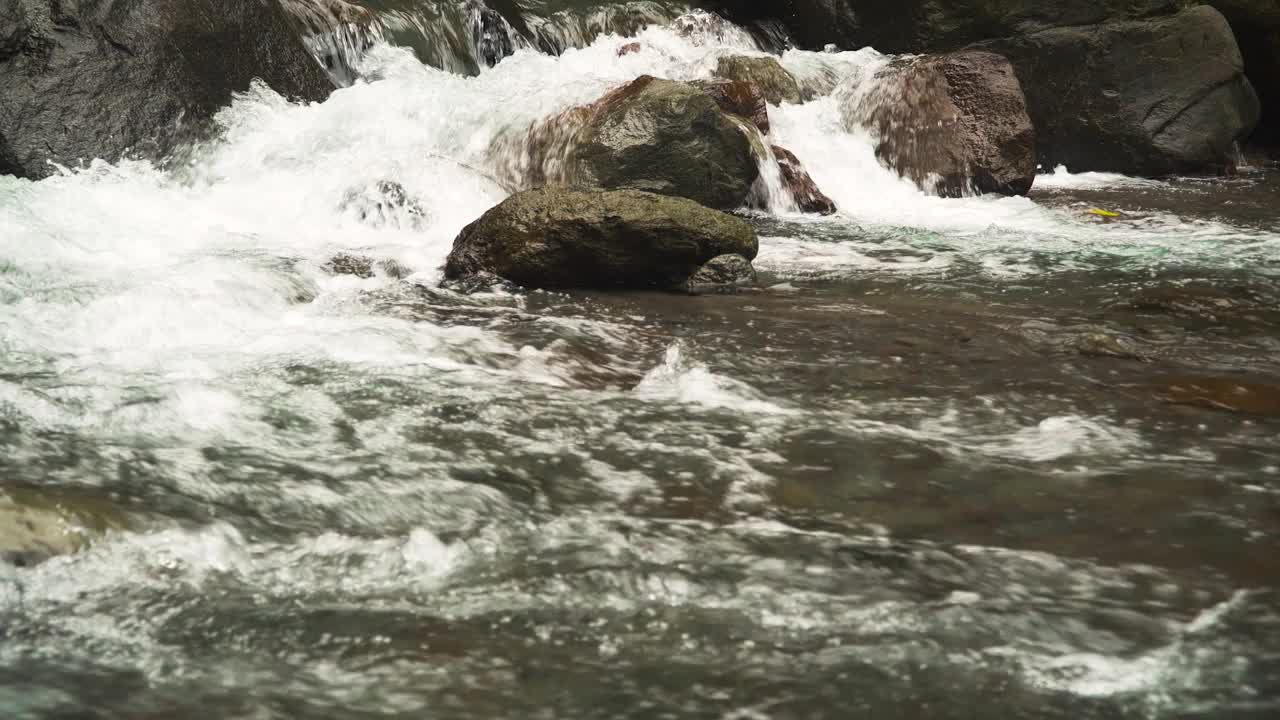 山溪的溪水视频素材