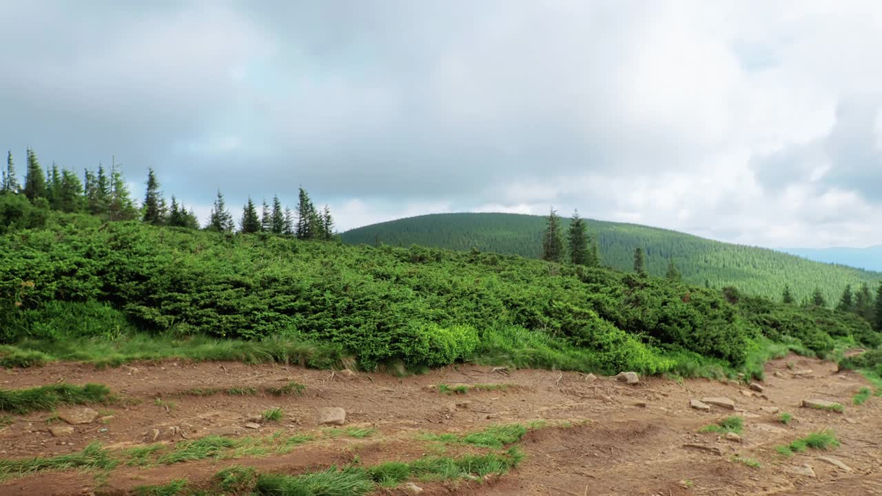 背景森林山脉多云天气云视频素材