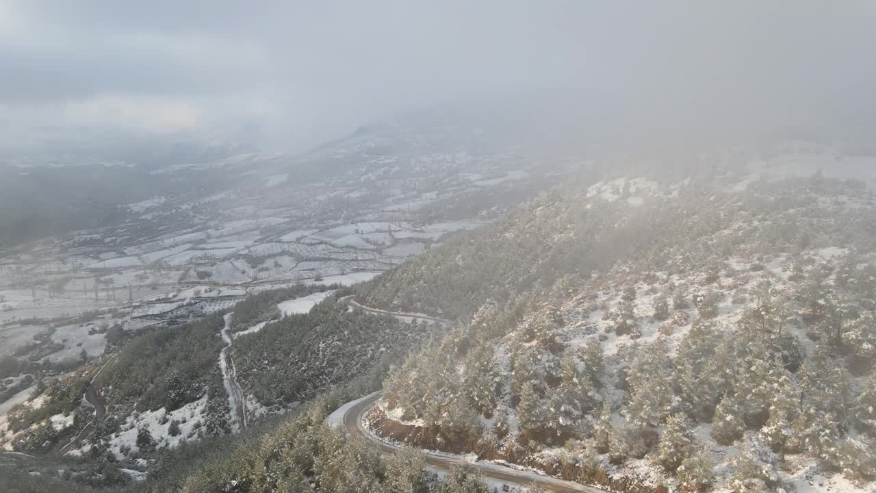 冬季浓雾森林与雪鸟瞰图视频素材