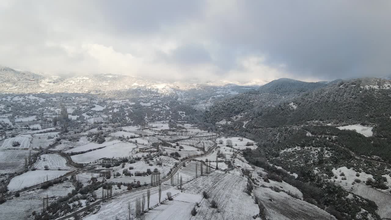 冬天森林高山覆盖着积雪视频素材