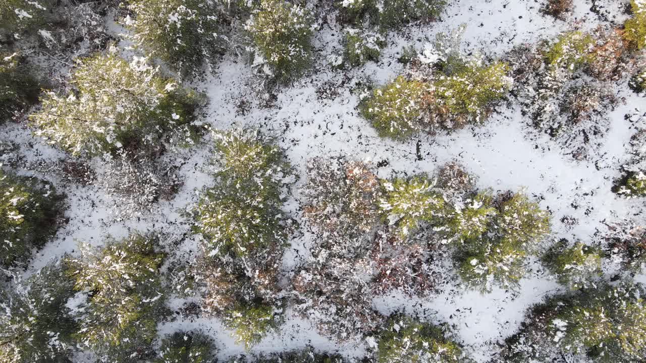 山顶上有雪花，山上无人驾驶飞机视频素材