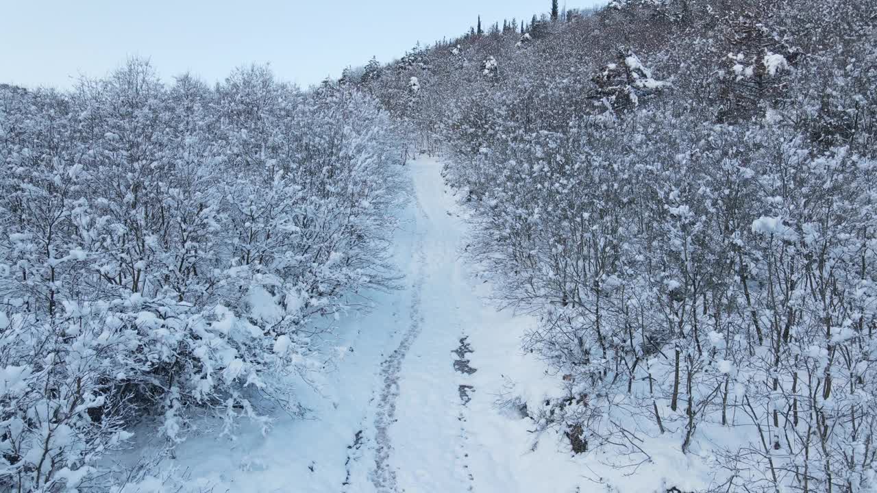 冰冻森林雪路鸟瞰图视频素材