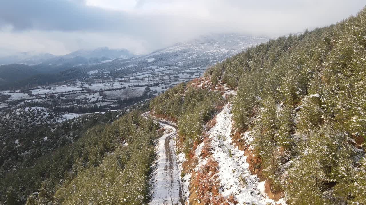 冬天森林高山上覆盖着积雪视频素材