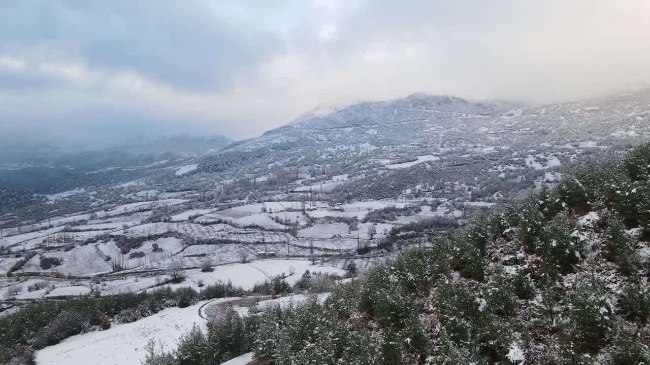 冬天的森林山上覆盖着积雪视频素材