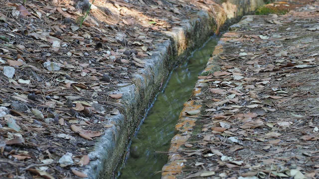 农田的旧灌溉渠内循环的水。视频素材