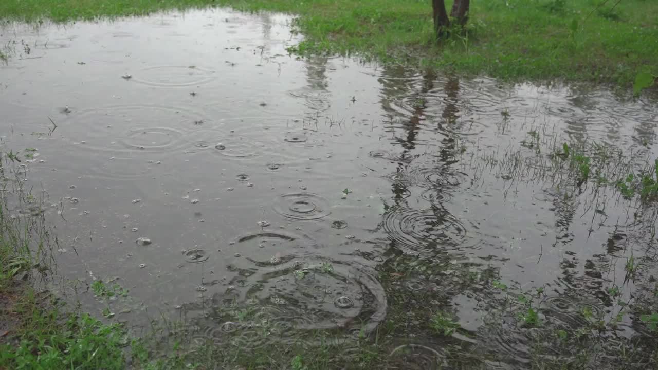 春天的雨，草坪上的水洼视频素材