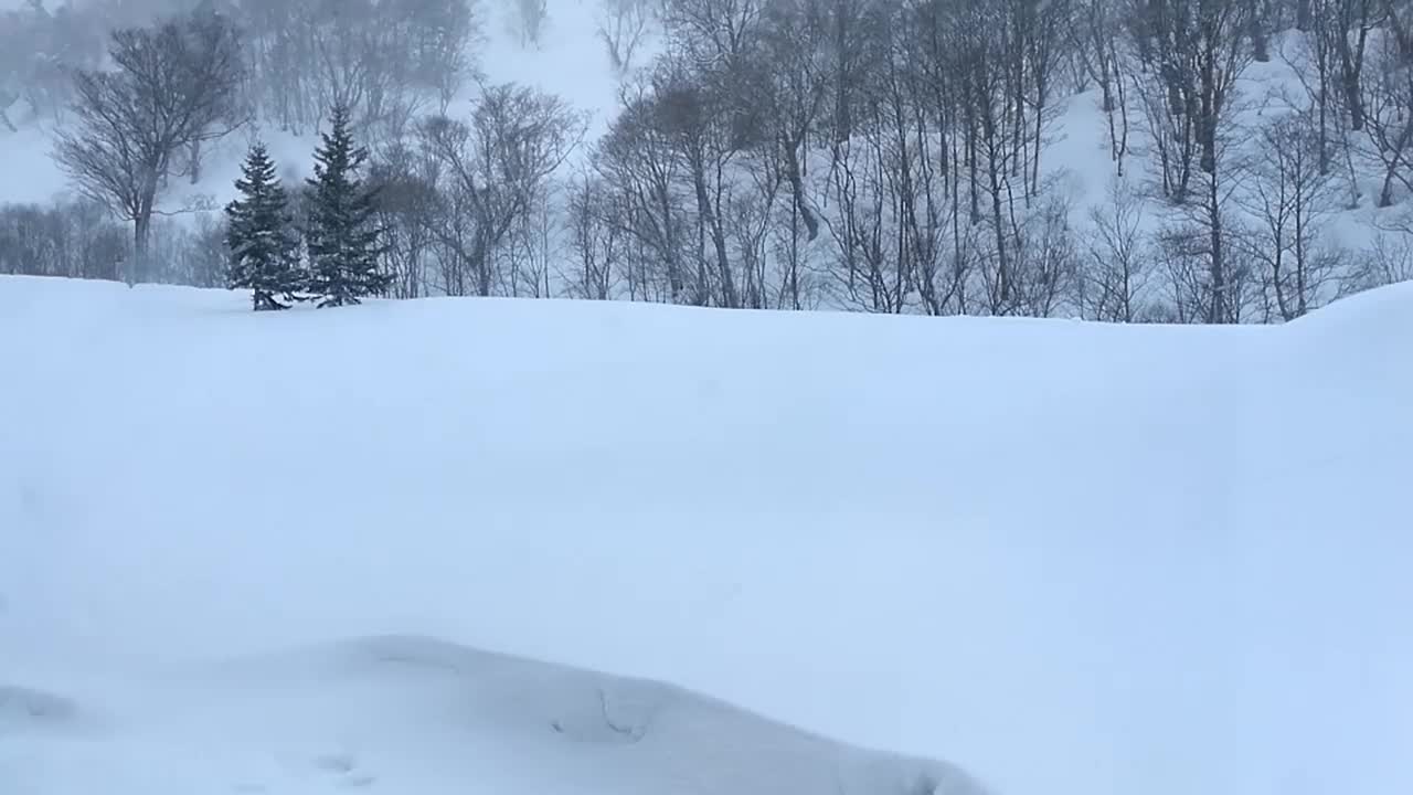 美丽的冬季风景与飘落的雪花。视频素材