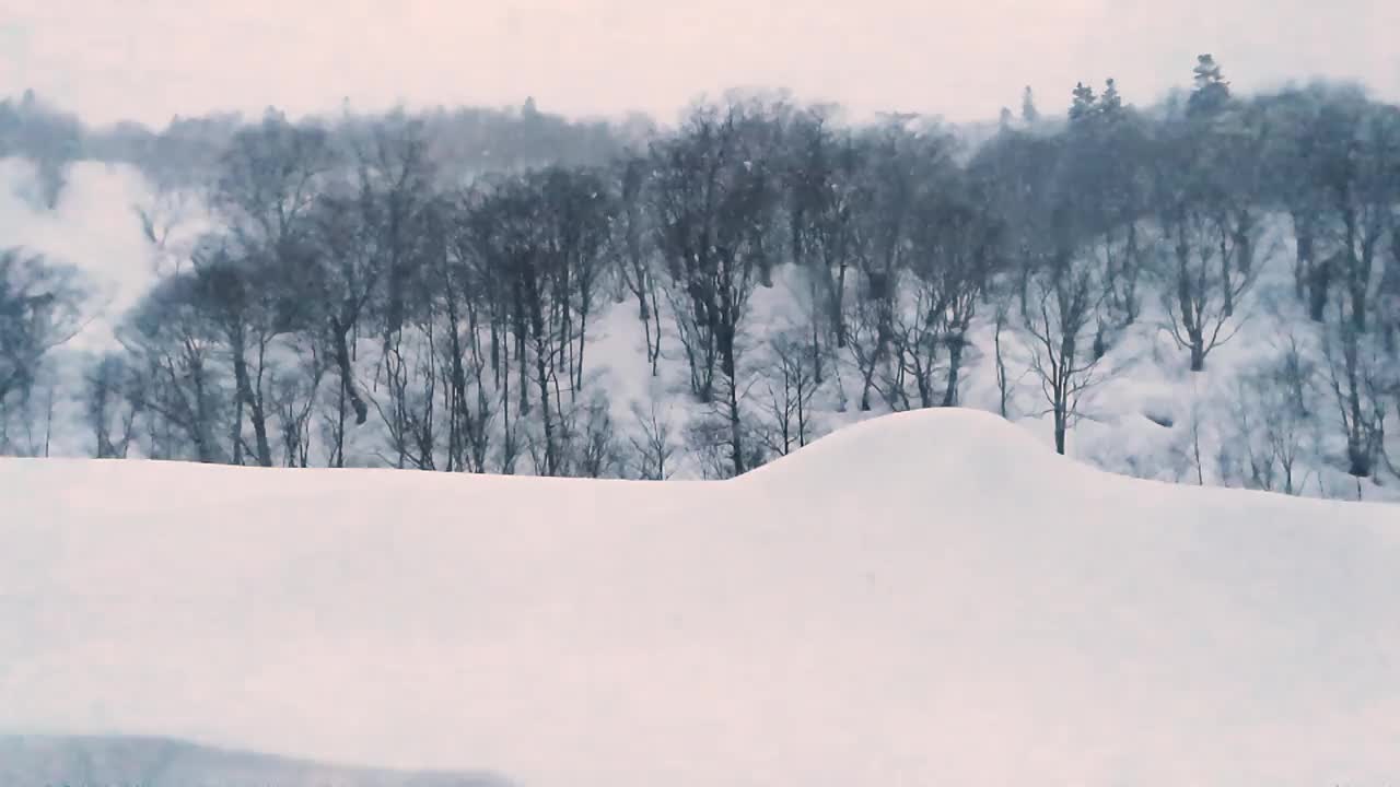 美丽的冬季风景与飘落的雪花。视频素材