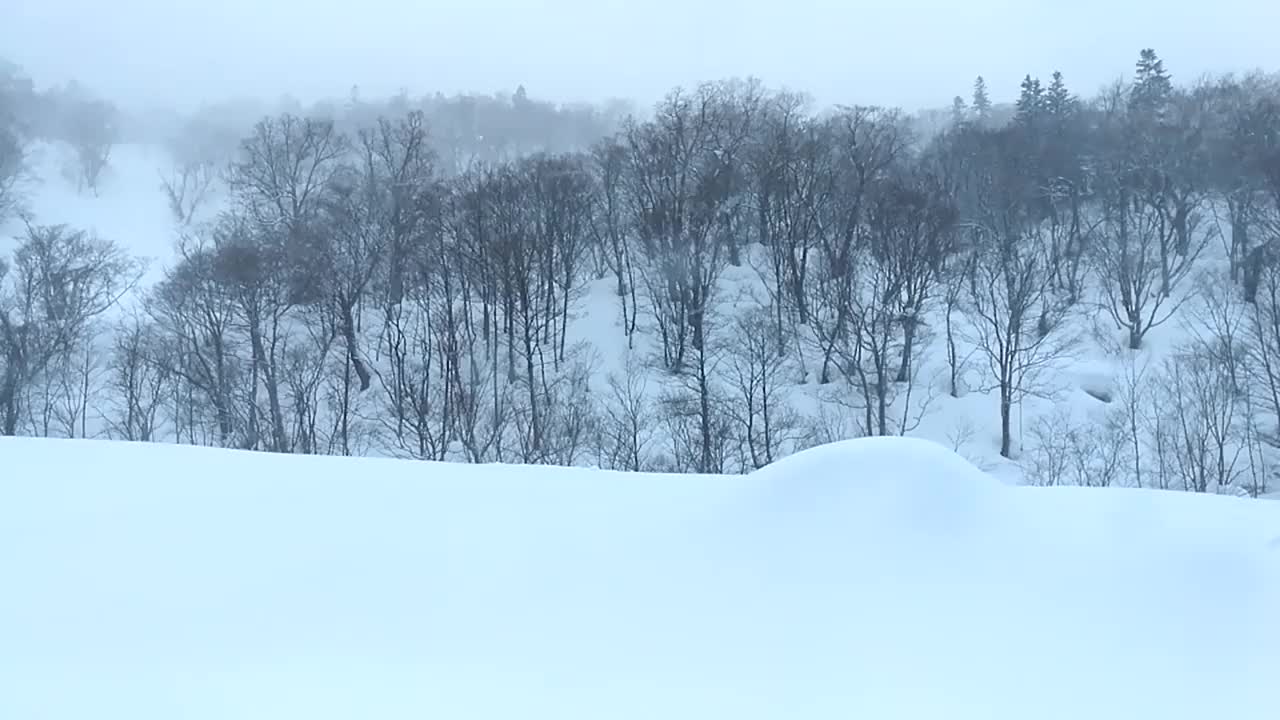 美丽的冬季风景与飘落的雪花。视频素材