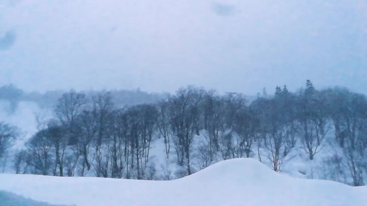 美丽的冬季风景与飘落的雪花。视频素材