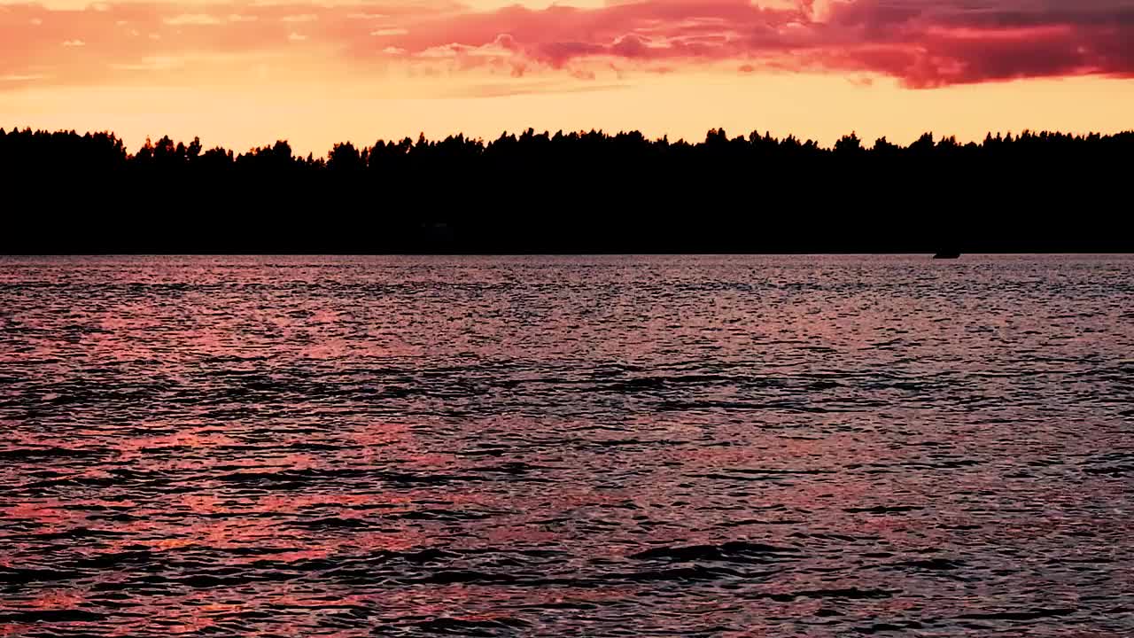 夏日傍晚，森林上方河上的落日。油漆。颜色视频素材