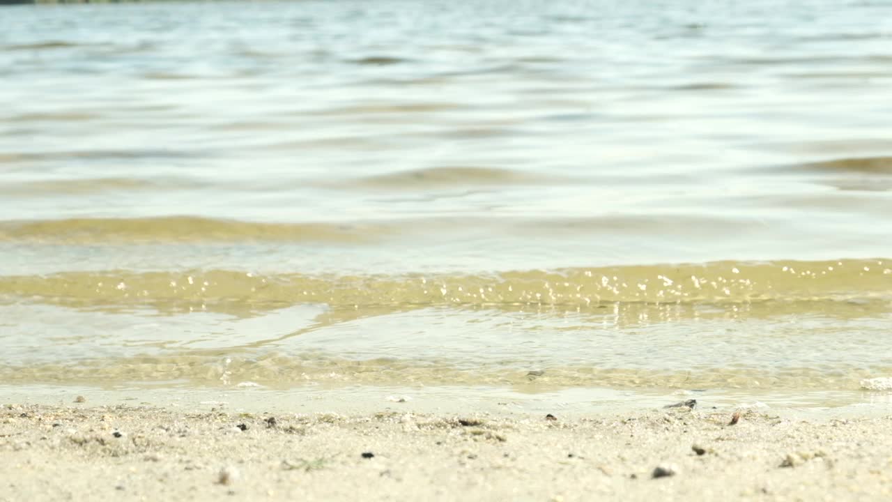 腿和脚在海水里。女人赤脚走在沙滩海岸线上，在沙滩上留下脚印。旅游的概念旅游旅游放松热带。慢镜头,特写视频素材