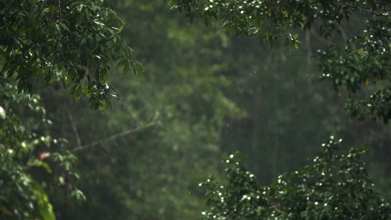 在绿色背景上下雨和雨滴的场景视频素材