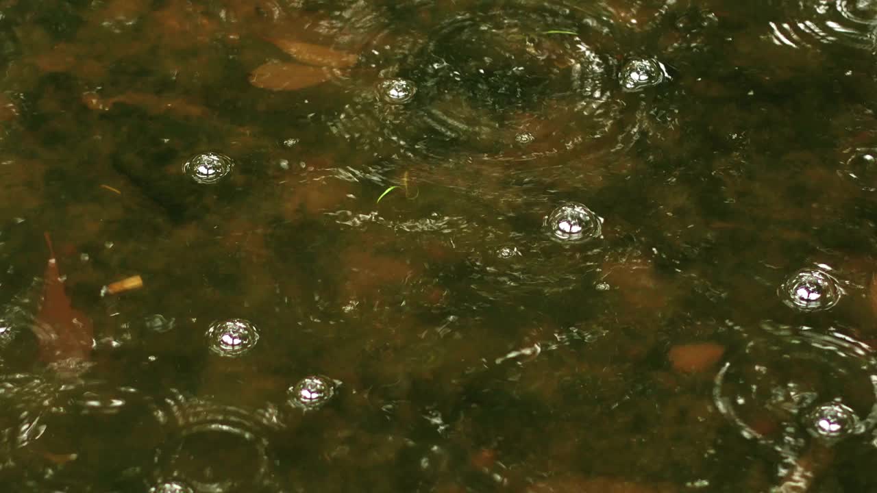 多雨的泡沫视频素材